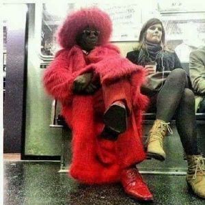 Meet your Posher, Tremont